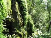 Tonto Natural Bridge 024